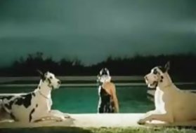 Nhất khiêu dâm trực tuyến phụ nữ gaga vấn. hình ảnh khiêu dâm video phim trực tuyến